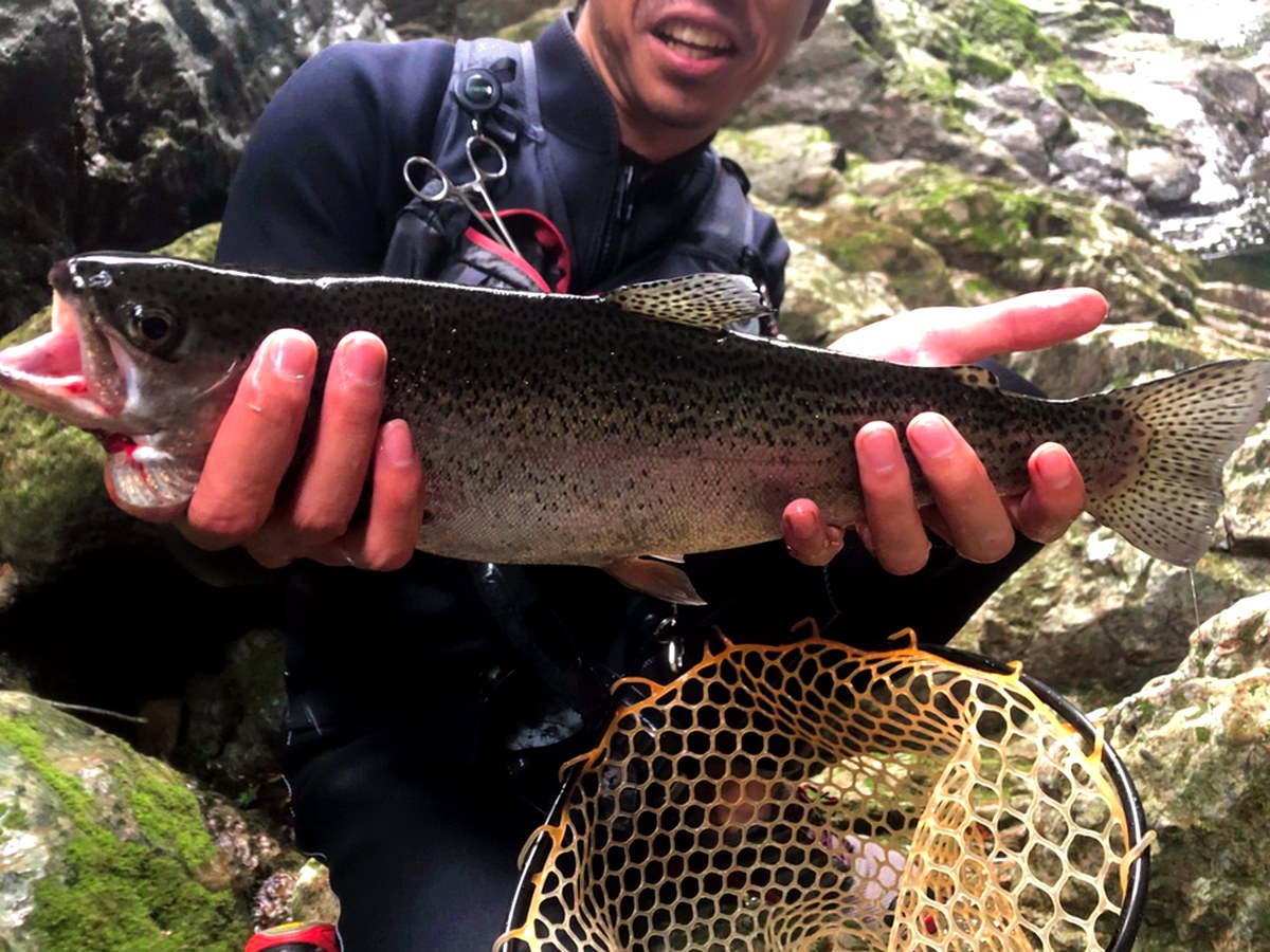 Mountain stream fishing experience