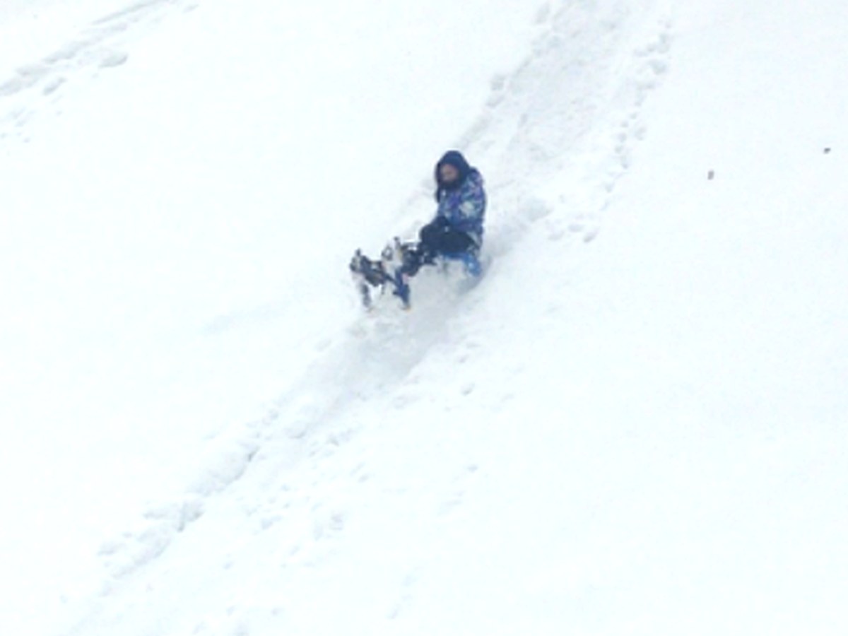 雪原を進むスノーシュー参加者