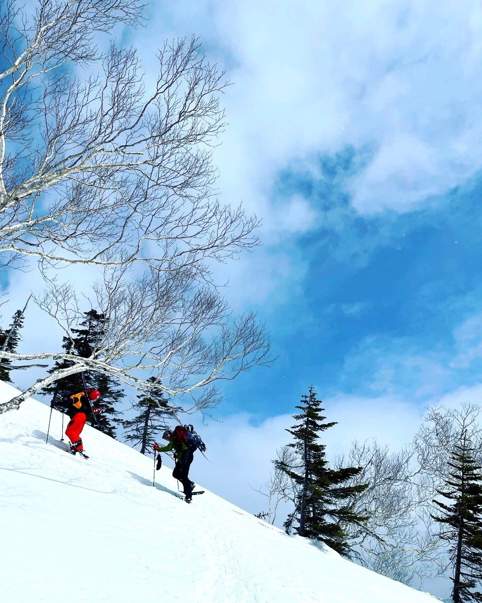 Snowshoe tour